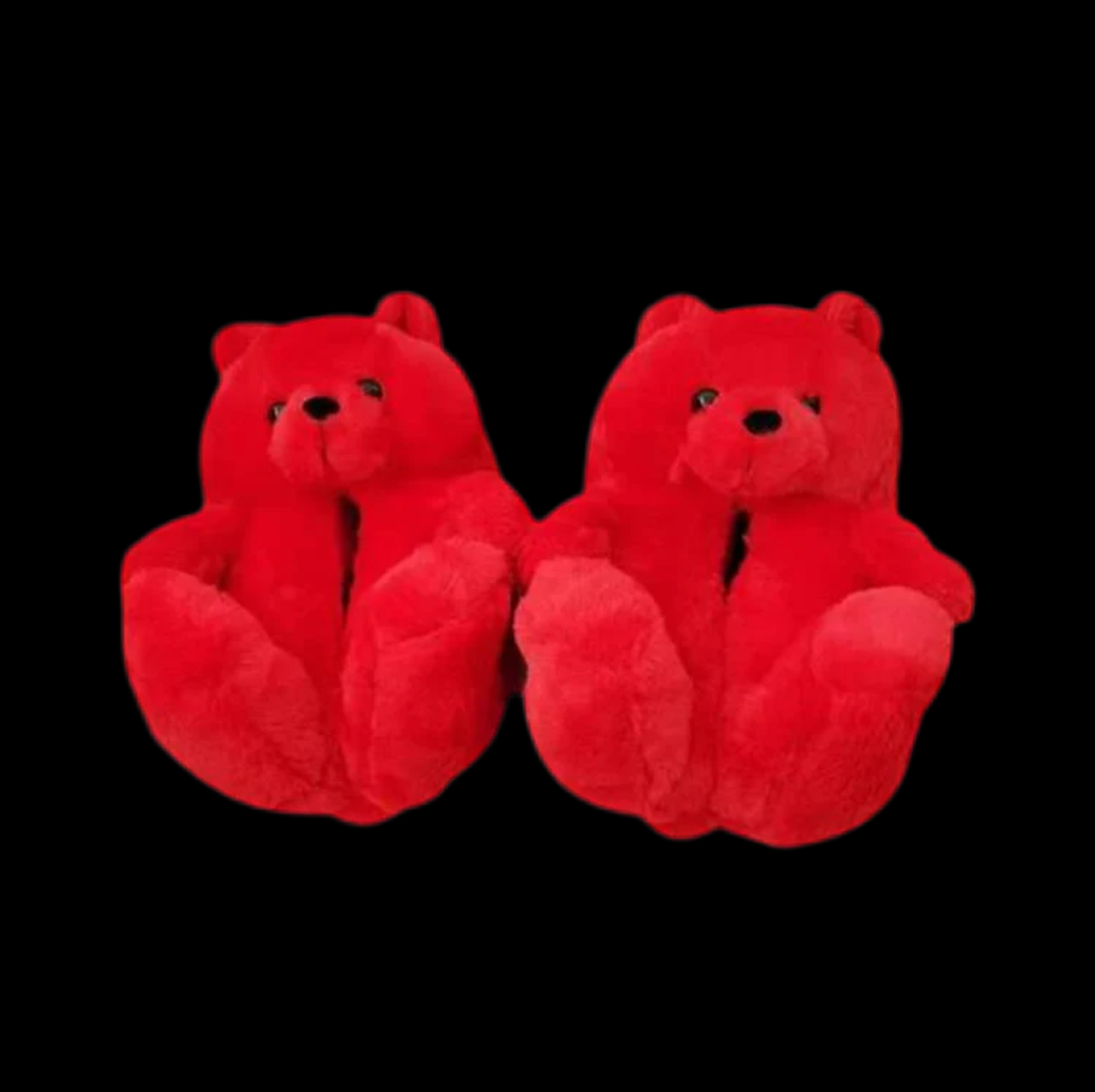 Teddy Bear Slippers